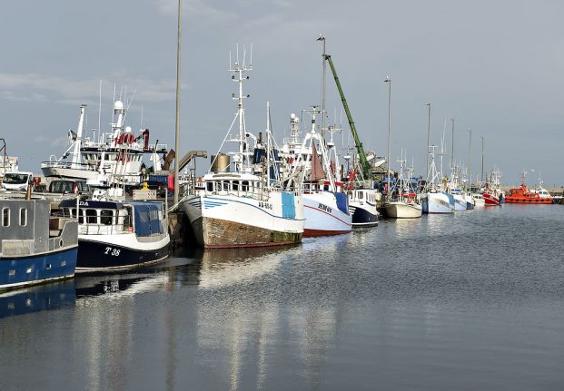 Denmark halts fish farming development over environment concerns
