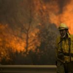 Dozens evacuated in Costa del Sol wildfire sparked by Frenchman burning a beehive