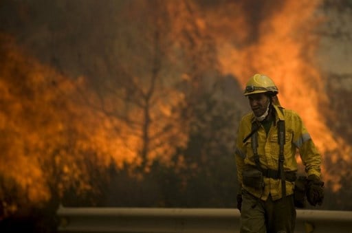 Dozens evacuated in Costa del Sol wildfire sparked by Frenchman burning a beehive
