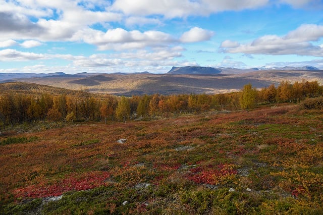 Autumn has arrived in northern Sweden