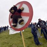‘No to bears’: Farmers in Spain’s Pyrenees protest against predators re-introduction