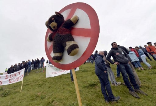'No to bears': Farmers in Spain's Pyrenees protest against predators re-introduction