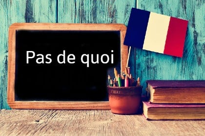 French Word of the Day: Pas de quoi