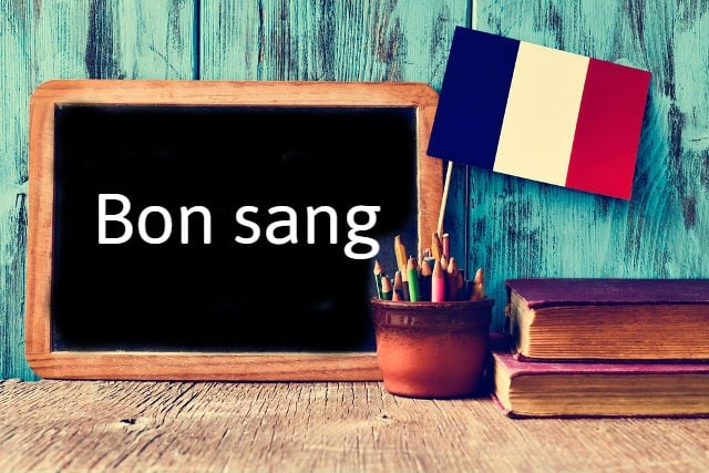 French Phrase of the Day: Bon Sang