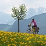 ‘If we have an engine, they respect us less’: How e-bikes are shaking up the Bavarian Alps