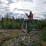 Six things you need to know about hunting in Sweden