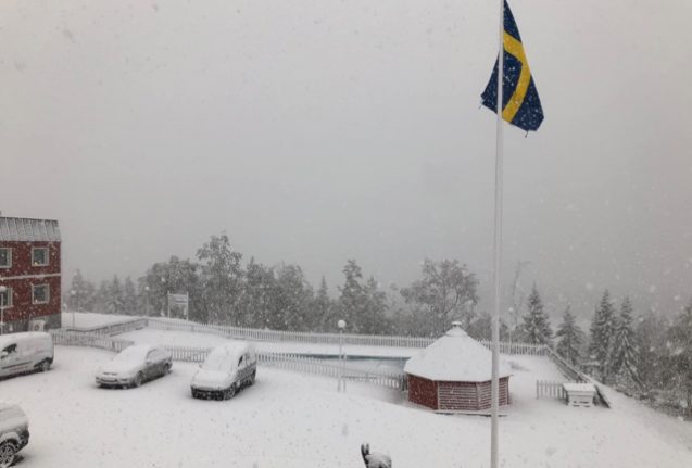 First snow falls as winter arrives in northern Sweden
