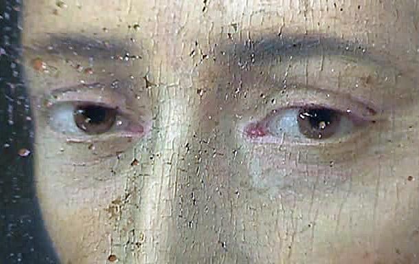 Does this mystery portrait prove Leonardo met Machiavelli?