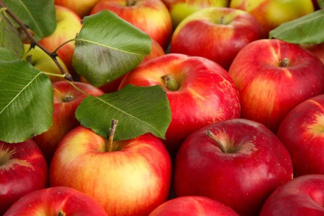 Norway’s apples are ripening in record time