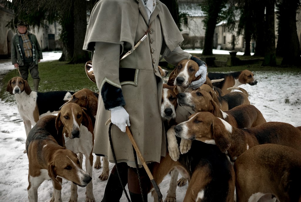 French police carry out DNA tests on 67 dogs after pregnant woman