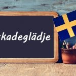 Swedish word of the day: skadeglädje