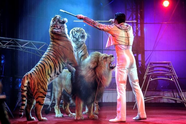 Paris moves to ban wild animals from circuses