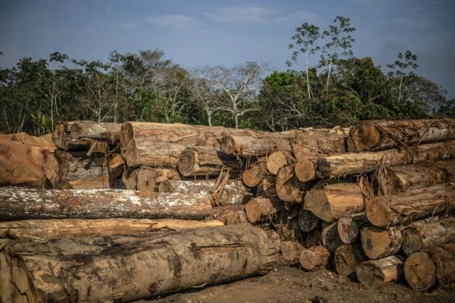 How Norway paid South American country not to chop down rainforest