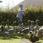 Noisy ducks in south west France can keep on quacking, court rules