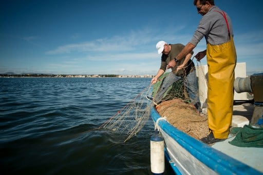 Mar Menor: How nutrients have poisoned Spain's largest saltwater lagoon