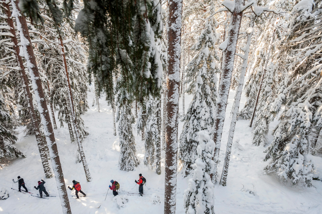 Here’s the most pointless pastime of the Swedes