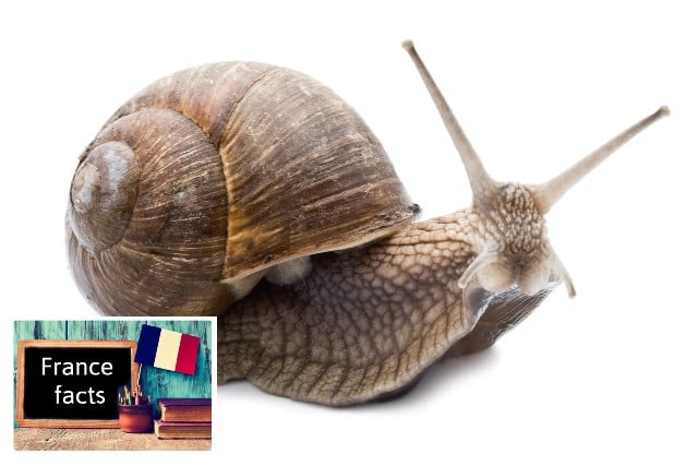 France facts: Snails need a ticket to travel on a train