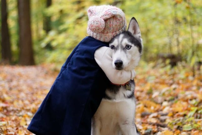 A little girl hugs a less than enthused dog in the forest 