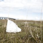 Denmark’s plastic littering mapped out in world-first project