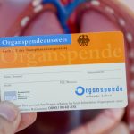 Bundestag votes against ‘opt-out’ system of organ donation in Germany