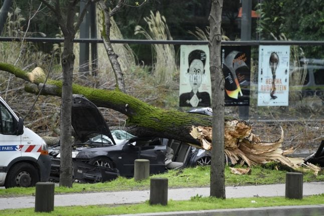 Man killed by falling tree as record-breaking winds hit Paris
