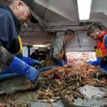 Guernsey issues first post-Brexit licences to French fishermen