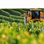 Trump’s US wine tariffs ‘threaten 100,000 jobs in French countryside’