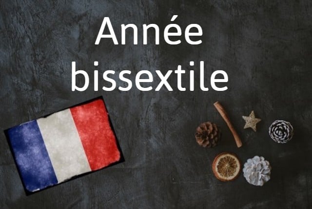 French phrase of the day: Année bissextile