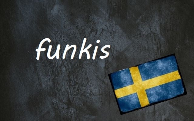 Swedish word of the day: funkis
