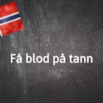 Norwegian expression of the day: Få blod på tann