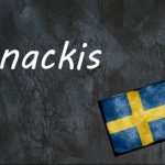 Swedish word of the day: snackis