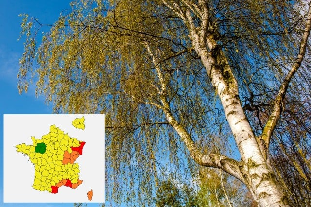 Warm winter sparks early pollen alerts in France