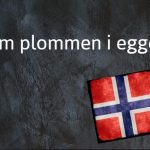 Norwegian expression of the day: Som plommen i egget