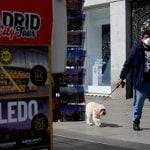 How dogs have become hot property during Spain’s coronavirus lockdown