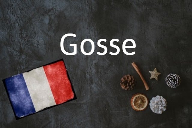 French word of the day: Gosse