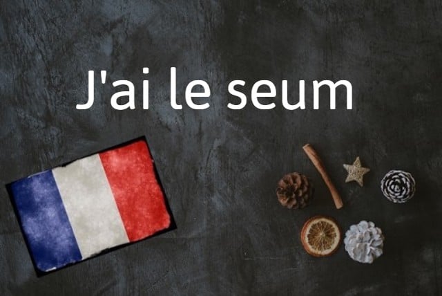 French expression of the day: J'ai le seum