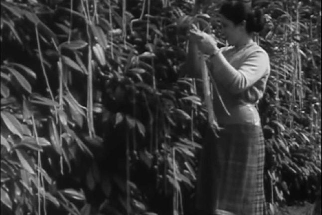 The Swiss Spaghetti harvest: The most successful April Fools’ Day prank of all time