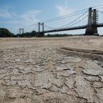 Climate crisis: 2019 was Europe’s hottest year in history, EU says