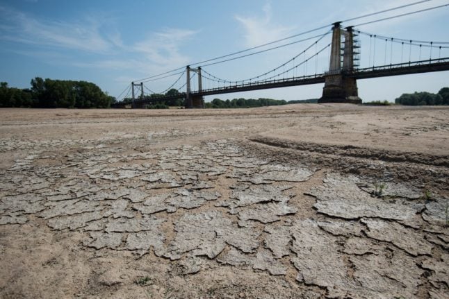 Climate crisis: 2019 was Europe’s hottest year in history, EU says
