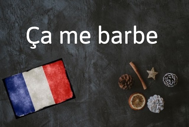 French expression of the day: Ça me barbe