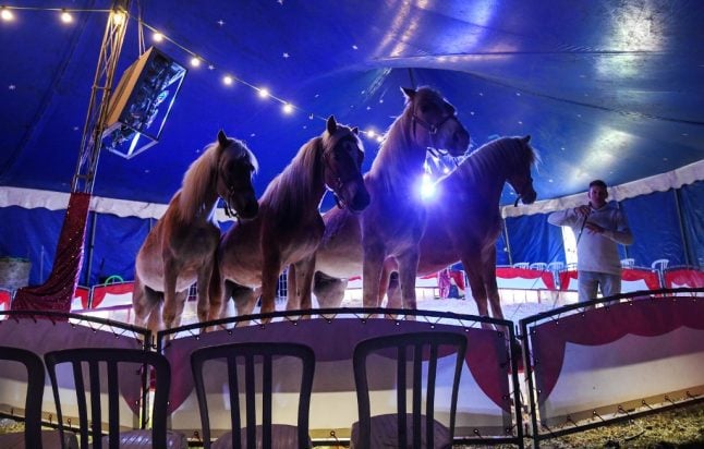 Stranded German circus faces uncertain future due to coronavirus restrictions