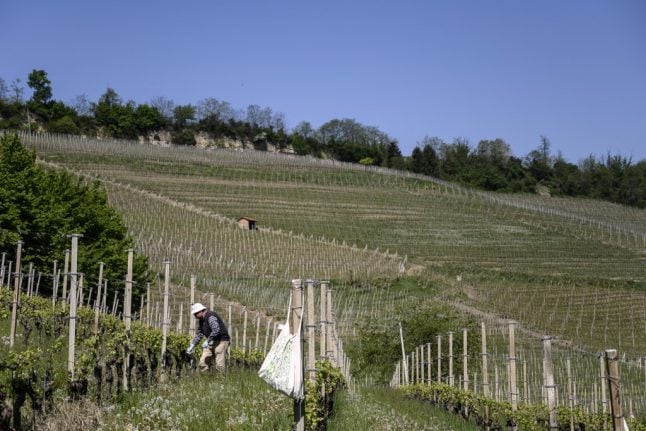 How the coronavirus crisis has hit Piedmont's wineries - and how you can help