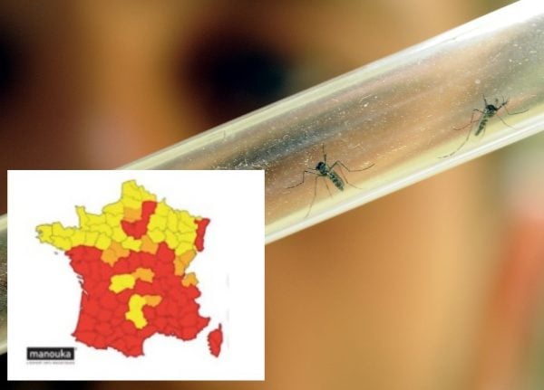 MAP: More than half of French départements on red warning for tiger mosquitoes