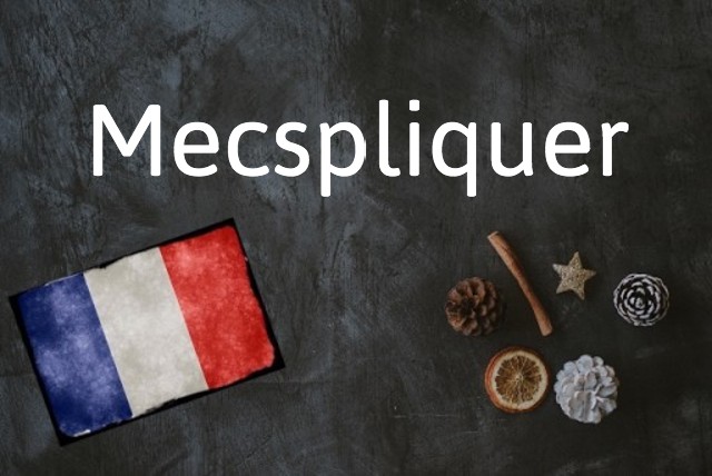 French word of the day: Mecspliquer