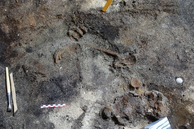 Viking-age skeleton found under Norway couple's house
