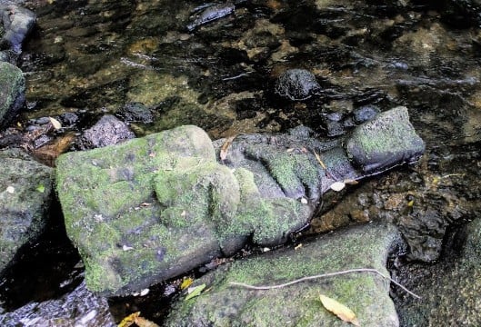 Fisherman finds priceless medieval religious icon on Spanish riverbed