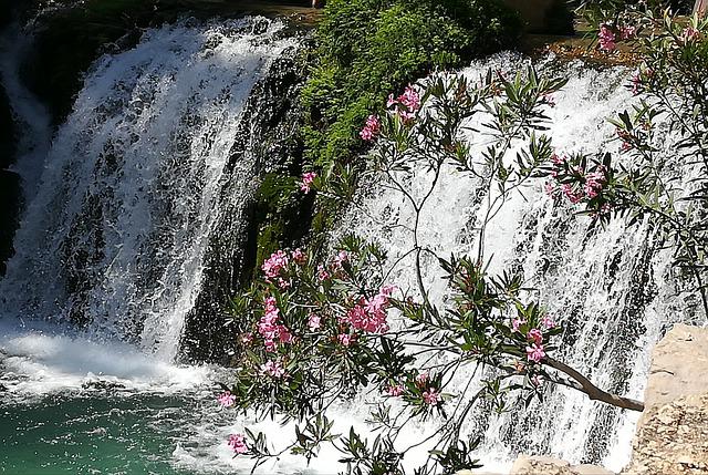 natural swimming pool spain