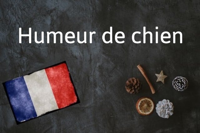 French expression of the day: Humeur de chien