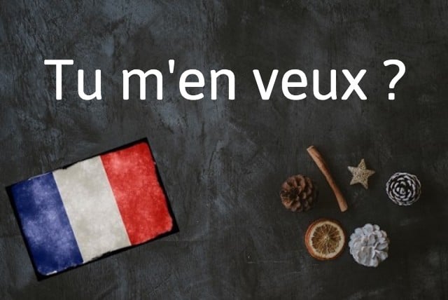 French expression of the day: Tu m’en veux ?