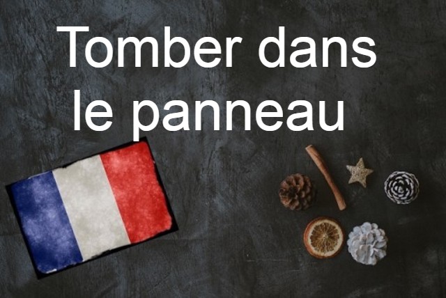 French expression of the day: Tomber dans le panneau